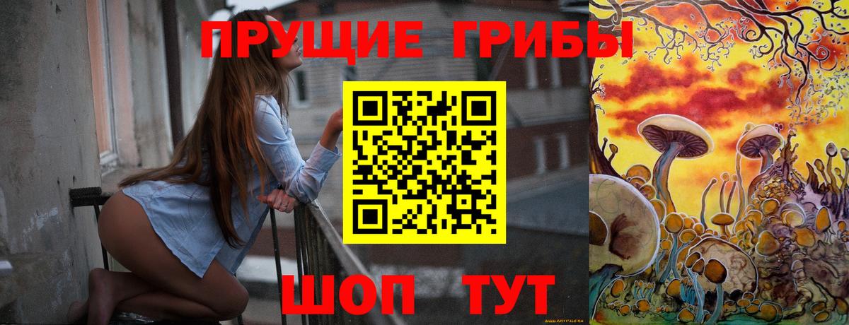 Псилоцибиновые грибы GOLDEN TEACHER Медногорск